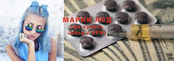 ГАЛЛЮЦИНОГЕННЫЕ ГРИБЫ Алзамай