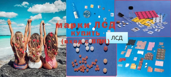 ГАЛЛЮЦИНОГЕННЫЕ ГРИБЫ Алзамай