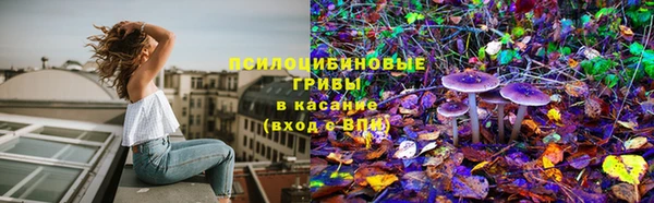 спиды Алексин