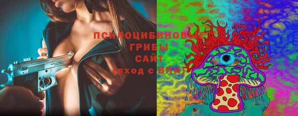 ешки Алексеевка