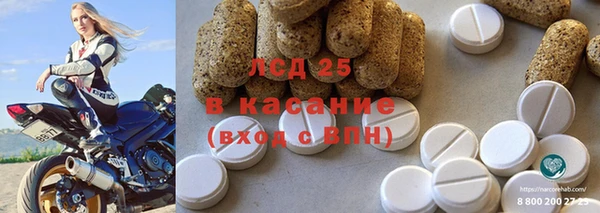ГАЛЛЮЦИНОГЕННЫЕ ГРИБЫ Алзамай