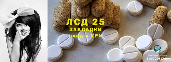 ГАЛЛЮЦИНОГЕННЫЕ ГРИБЫ Алзамай